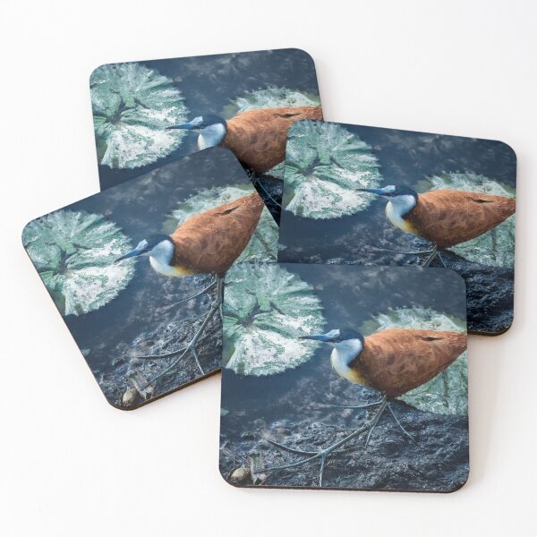 Item preview, African Jacana and Water Lily Pads designed and sold by Belinda Greb Photography.