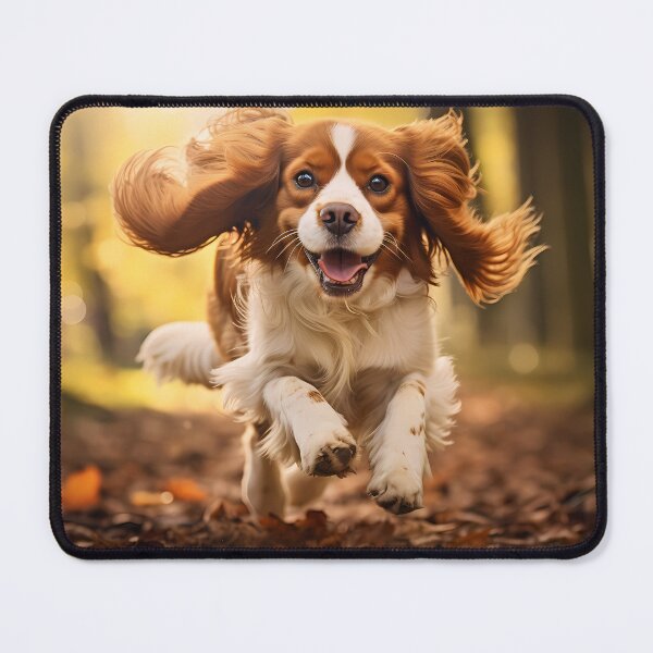 Item preview, Spaniel's Radiant Run designed and sold by codestealth.