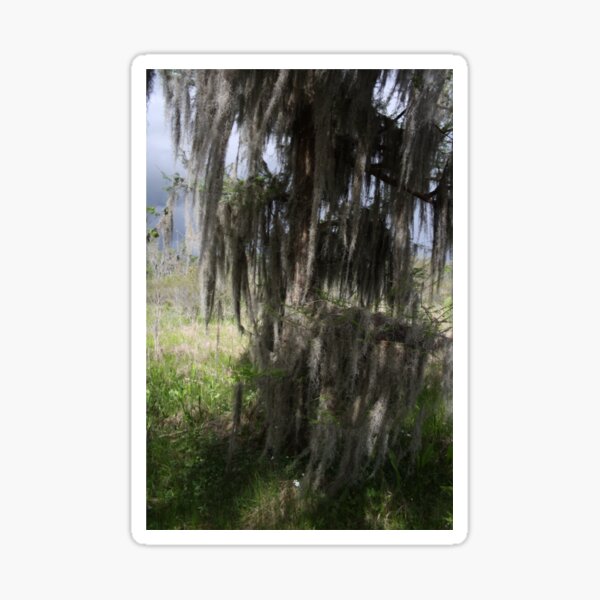 Item preview, Jean Lafitte National Historical Park and Preserve 2 designed and sold by KittyGranger.
