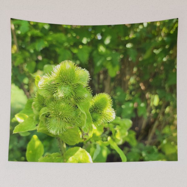 Item preview, Monochrome Nature - Green designed and sold by Alexandra Sutherland.