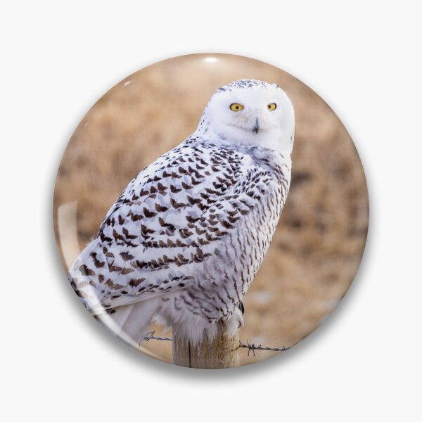 Item preview, Snowy Owl on a Fence Post designed and sold by Don Arsenault.