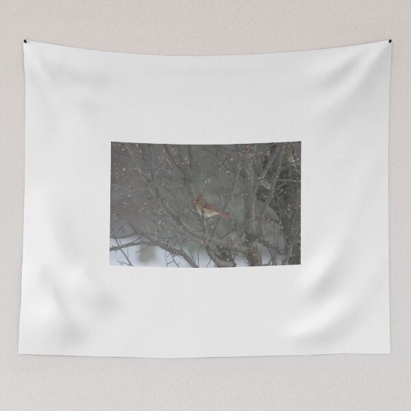 Item preview, CARDINAL IN BLOWING SNOW designed and sold by Brenda Planchon.