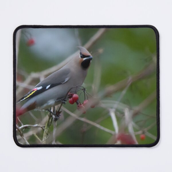 Item preview, Bohemian Waxwing designed and sold by LaurenTucker.