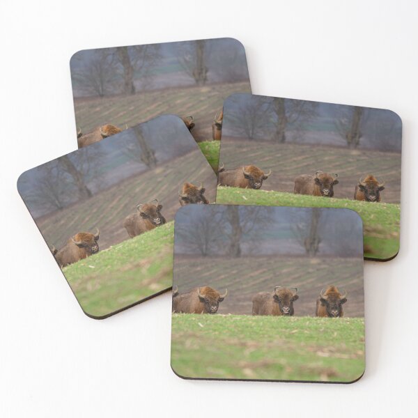 Item preview, Wild European Bison Photographic Print designed and sold by LynxAdventure.