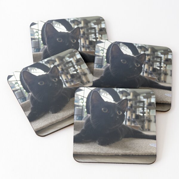 Item preview, "I'm Zeroed In" designed and sold by RebelRising.