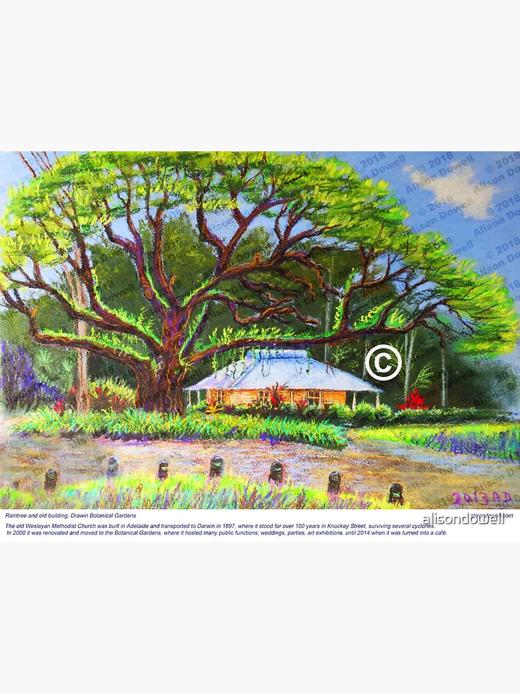 Botanic Gardens Cafe by alisondowell