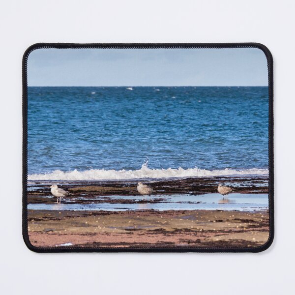 Item preview, Seagulls designed and sold by jasminewang.