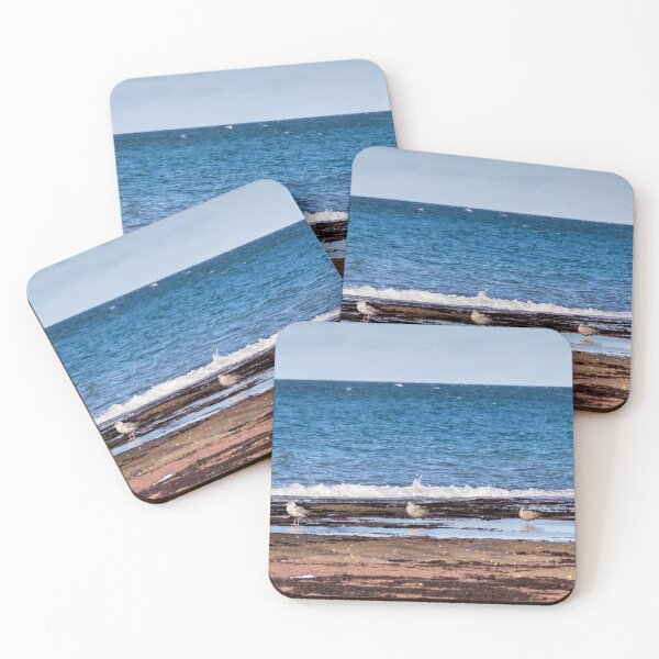 Item preview, Seagulls designed and sold by jasminewang.