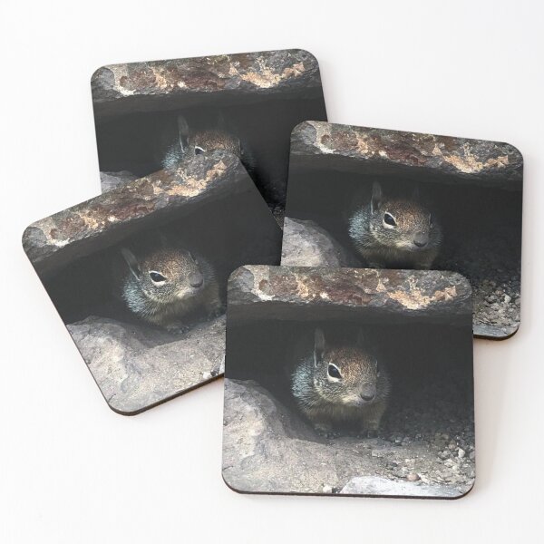 Item preview, Squirrel's beach day (Photograph) designed and sold by MCNelsonArt.