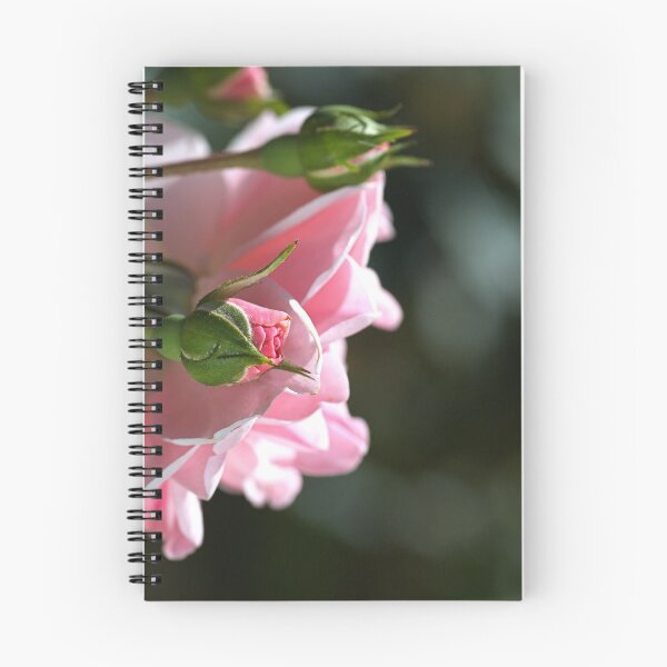 Item preview, Bud and Parent Rose designed and sold by Joy Watson - Natural Light Photography .