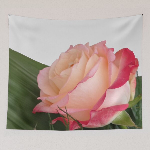 Item preview, Pink rose photo, cut out pattern designed and sold by evadesignbubble.