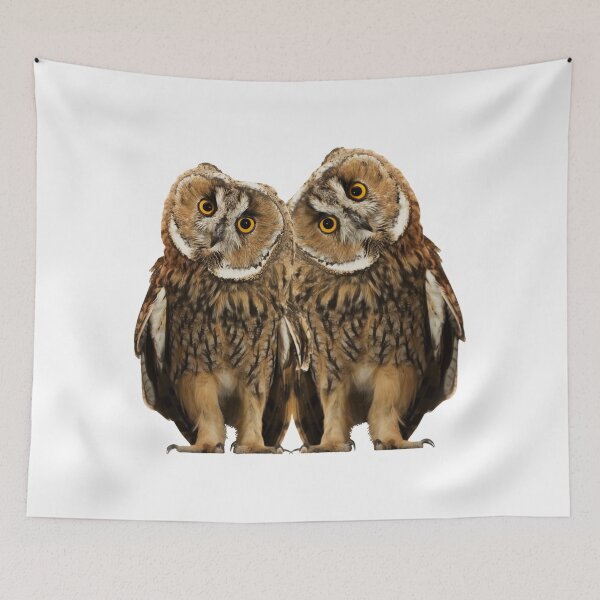 Item preview, Double Cuteness - Wise Owl Pair designed and sold by Michael van der Hoorn.