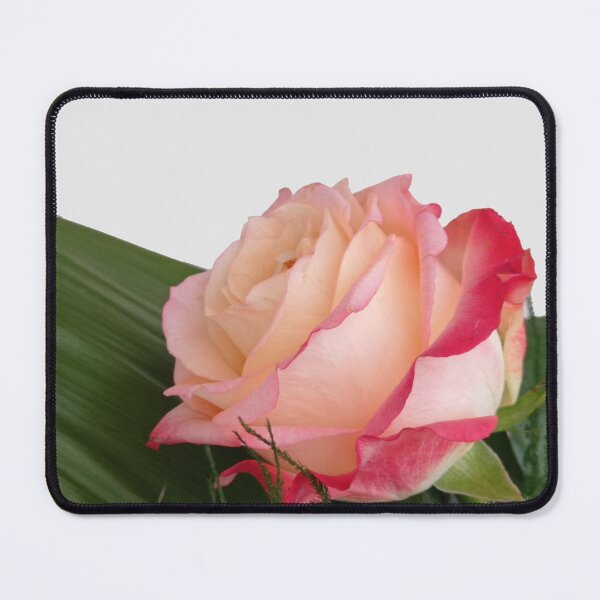 Item preview, Pink rose photo, cut out pattern designed and sold by evadesignbubble.
