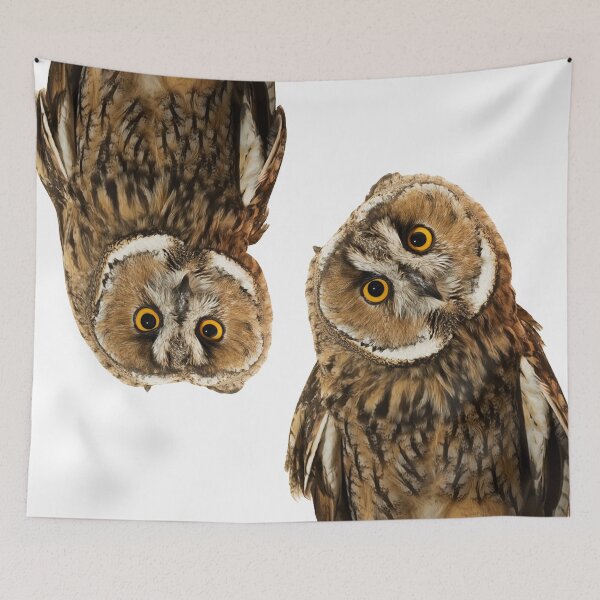 Item preview, Funny Double Cuteness - Wise Owl Pair designed and sold by Michael van der Hoorn.