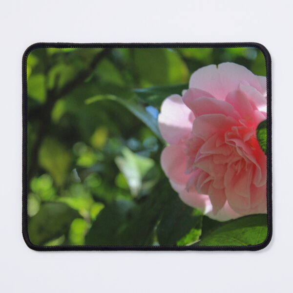Item preview, pink camellia designed and sold by Micki Selvitella.