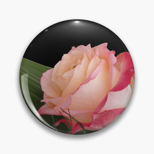 Artikelvorschau, Rosa Rosenfoto, ausgeschnittenes Muster entworfen und verkauft von evadesignbubble.