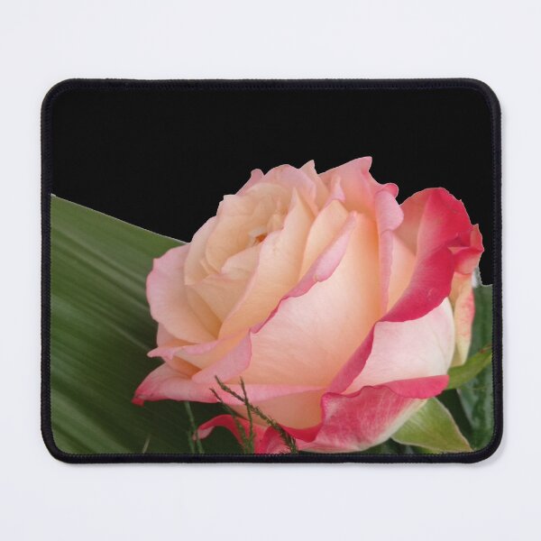 Item preview, Pink rose photo, cut out pattern designed and sold by evadesignbubble.