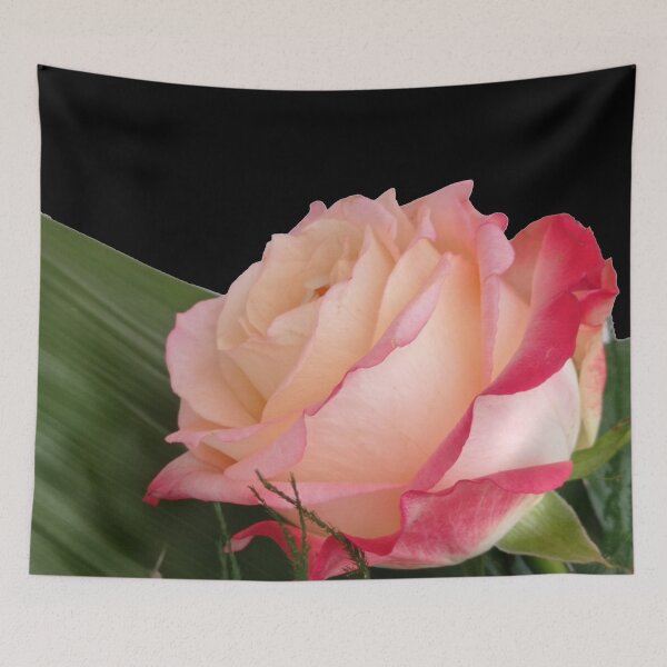 Item preview, Pink rose photo, cut out pattern designed and sold by evadesignbubble.