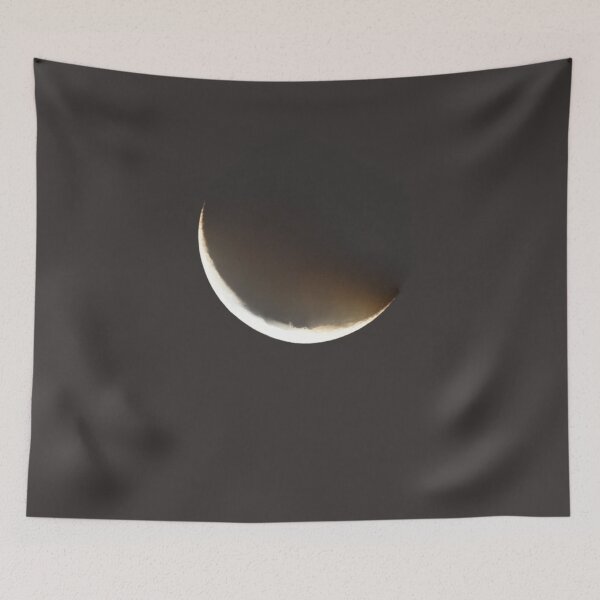 Item preview, Waning crescent moon designed and sold by Explortees.