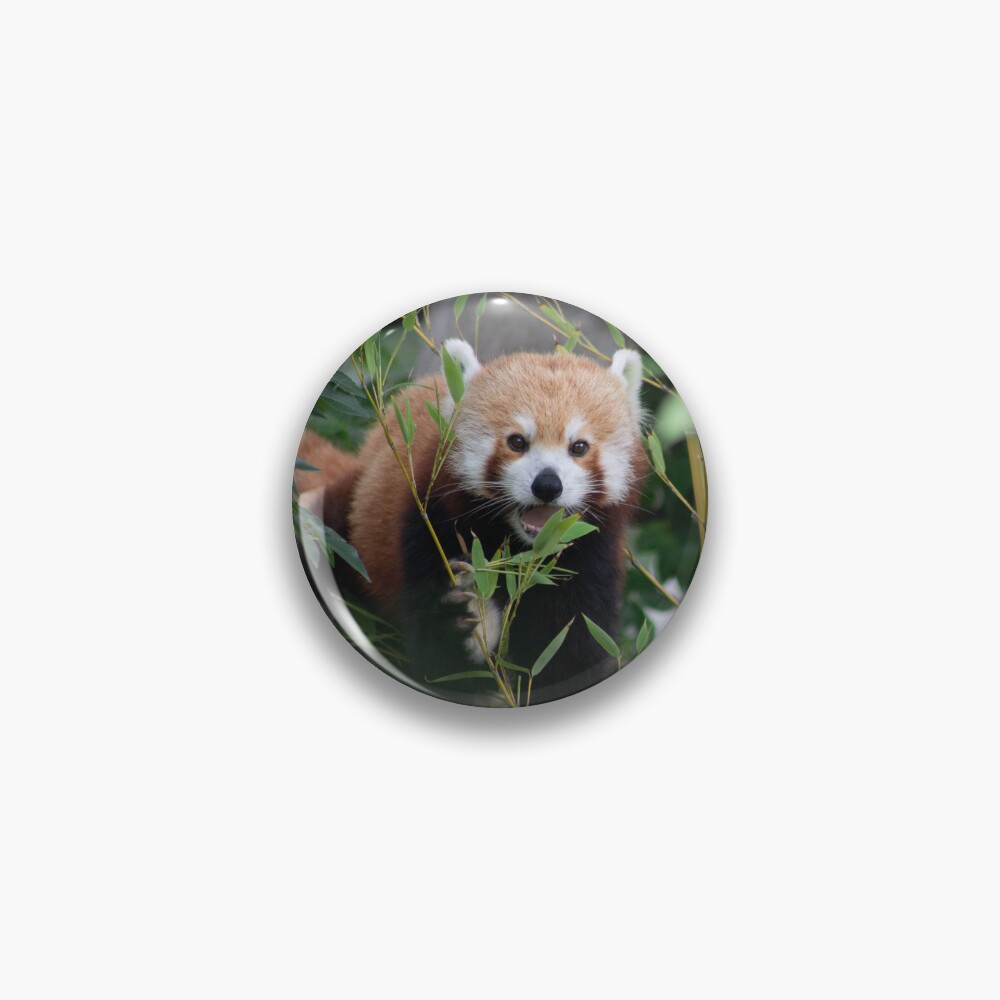 Item preview, Pin designed and sold by RREID84.