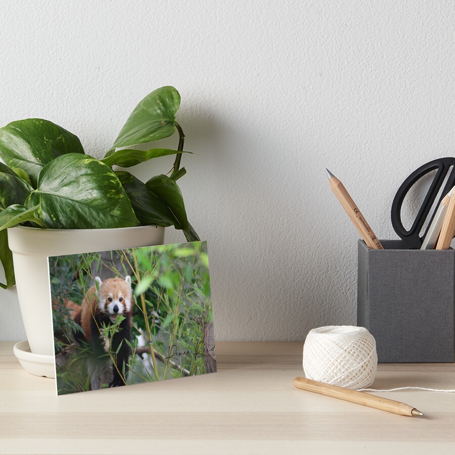 Item preview, Art Board Print designed and sold by RREID84.