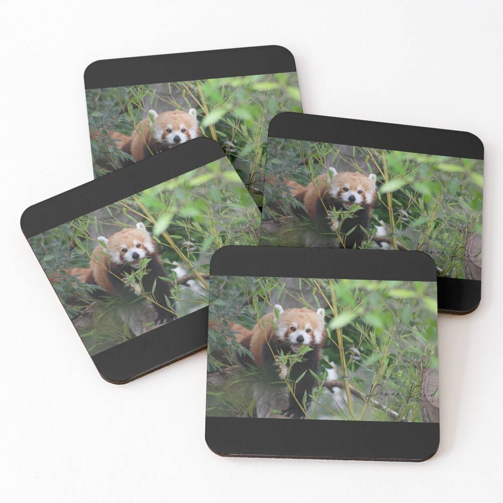 Item preview, Coasters (Set of 4) designed and sold by RREID84.