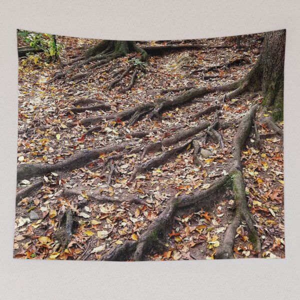 Item preview, Rooted in Nature designed and sold by bjtomiko.