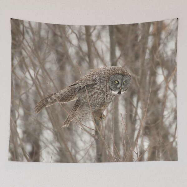 Item preview, Focused designed and sold by locustgirl.