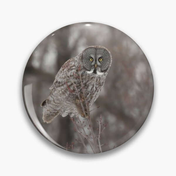 Item preview, Staring Contest designed and sold by locustgirl.
