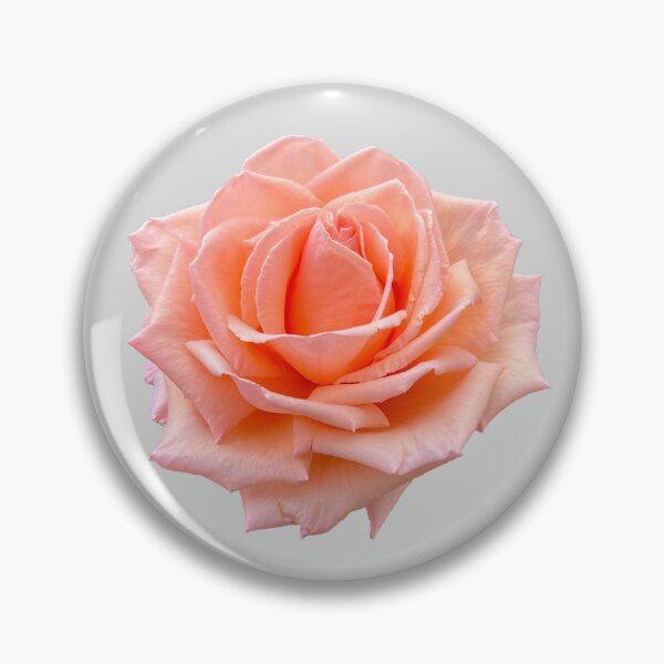 Aperçu de l'œuvre Rose corail créée et vendue par Pixel and Paintbrush.