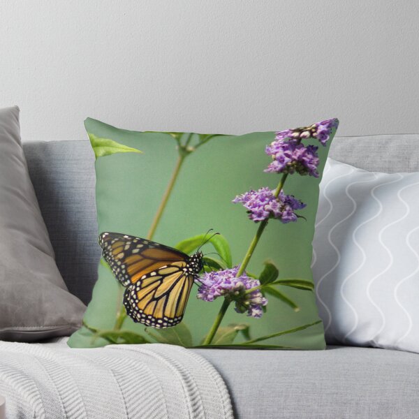 Item preview, Delicate Monarch designed and sold by steini.