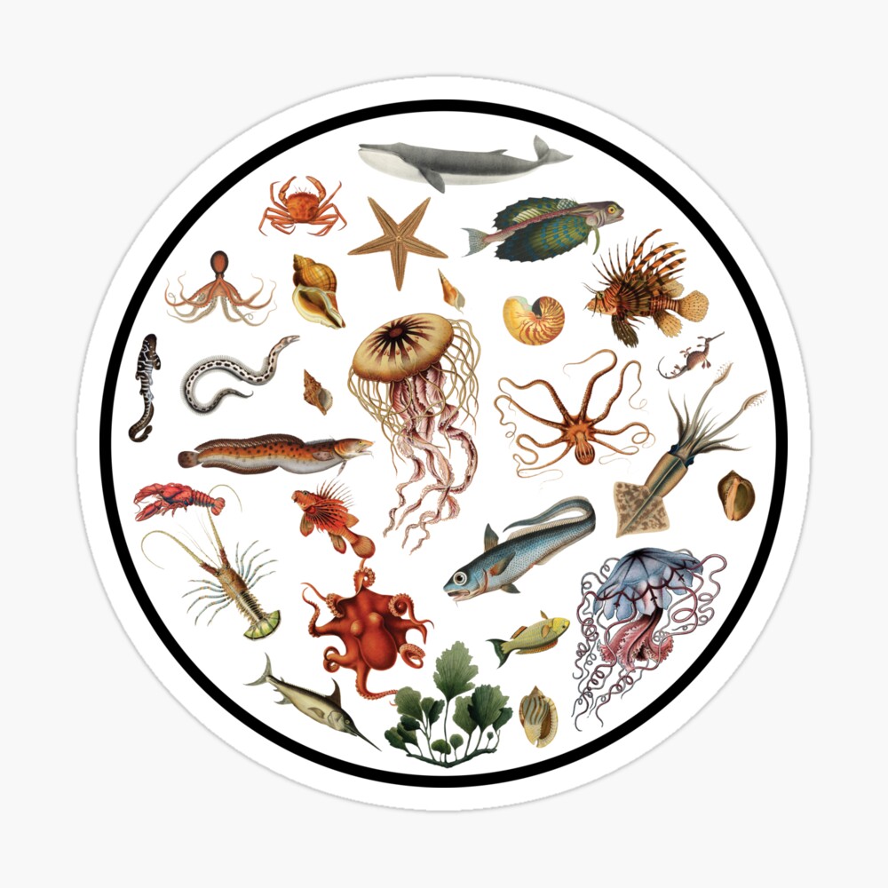 Marine Biology Gift - Vintage Theme Design Journal