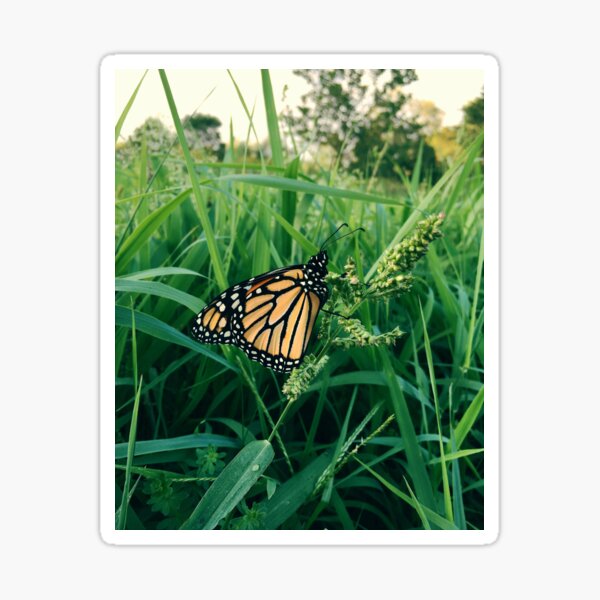 Item preview, Garden Butterfly designed and sold by Cute Cartoons and Things .