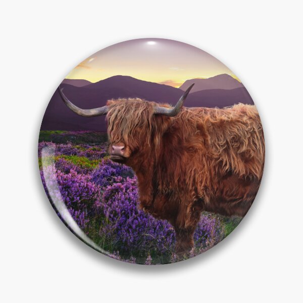 Aperçu de l'œuvre Vache Highland créée et vendue par Alisonchambers2.