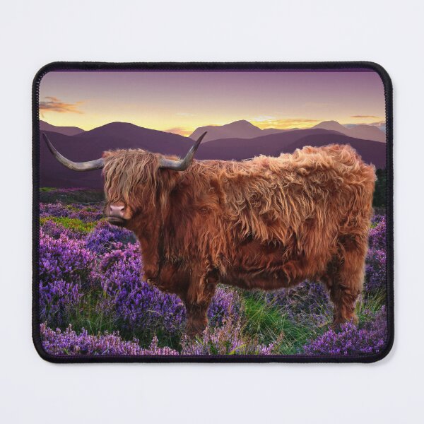 Item preview, Highland Cow designed and sold by Alisonchambers2.