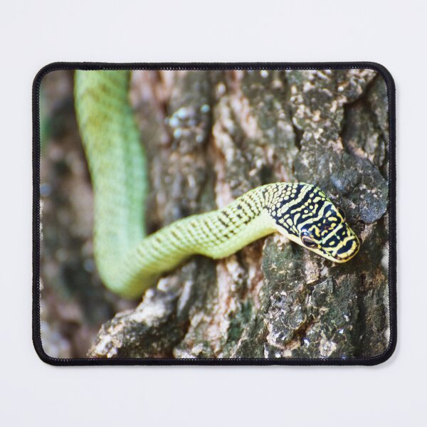 Item preview, Golden Tree Snake designed and sold by tpixx.