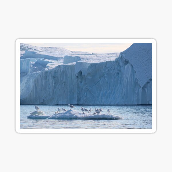 Item preview, Birds and Icebergs designed and sold by Micki Selvitella.