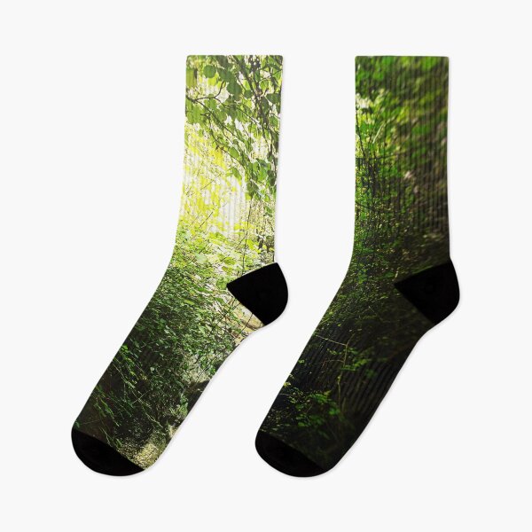 Item preview, Sunlit Forest, Hidden Brook, Green Landscape designed and sold by IdoFriedmanArt.