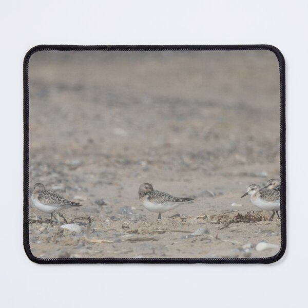 Item preview, Sanderlings designed and sold by Calidris Fotografie Steffi & Ben Köppler.