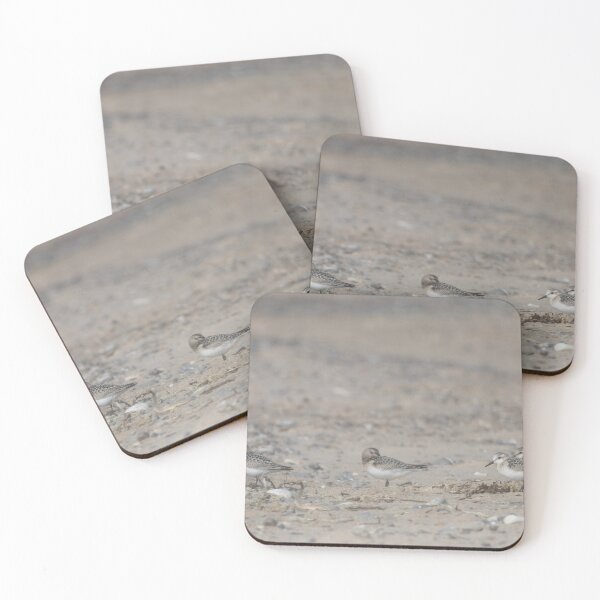Item preview, Sanderlings designed and sold by Calidris Fotografie Steffi & Ben Köppler.