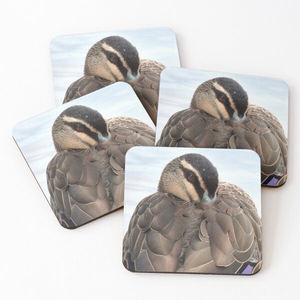 Item preview, A Pacific Black Duck bird. designed and sold by stevealder.