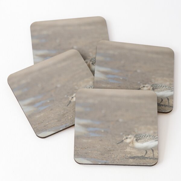 Item preview, Sanderling designed and sold by Calidris Fotografie Steffi & Ben Köppler.