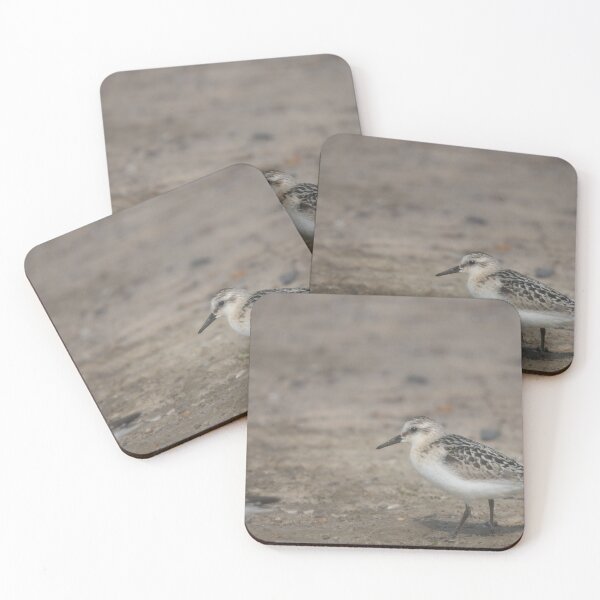 Item preview, Sanderling designed and sold by Calidris Fotografie Steffi & Ben Köppler.