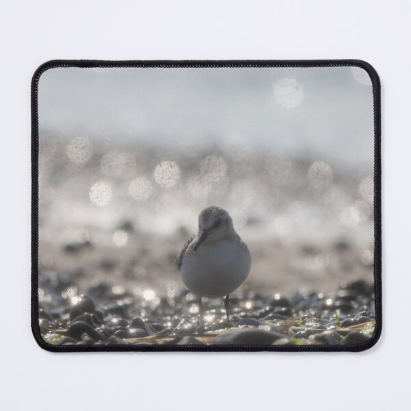 Item preview, Sanderling designed and sold by Calidris Fotografie Steffi & Ben Köppler.