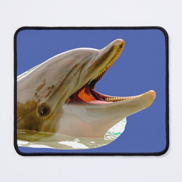 Item preview,  Dolphin laughing  designed and sold by Dalyndigital Photography.