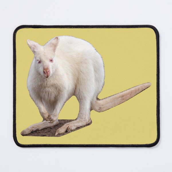 Item preview, Albino Wallaby designed and sold by Dalyndigital Photography.