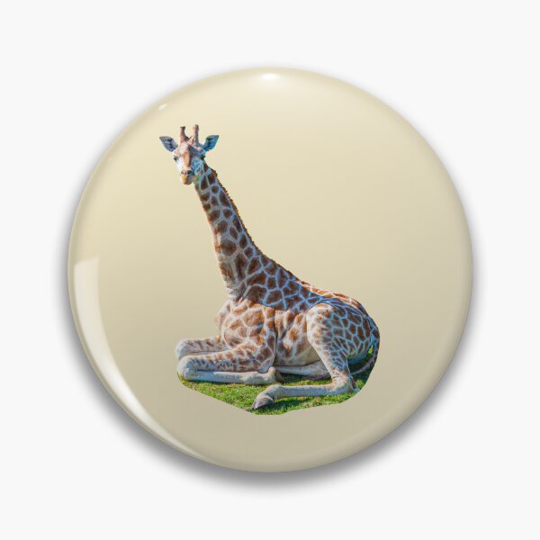 Item preview, Giraffe sat on the grass designed and sold by Dalyndigital Photography.