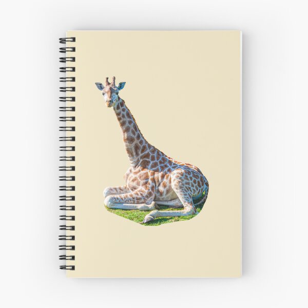 Item preview, Giraffe sat on the grass designed and sold by Dalyndigital Photography.