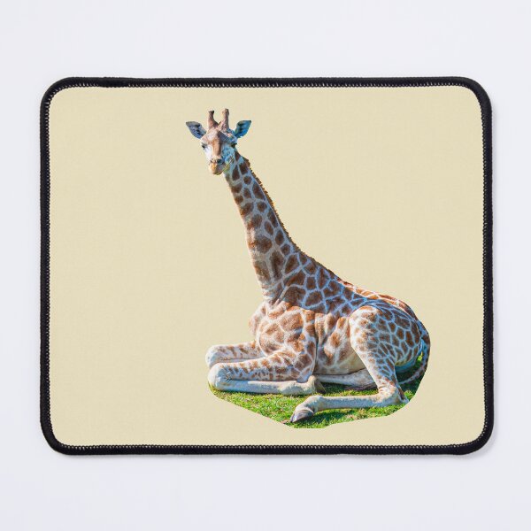 Item preview, Giraffe sat on the grass designed and sold by Dalyndigital Photography.