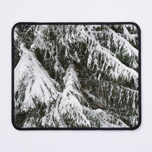 Item preview, Spruce covered. Parkkuu winter 2023 minimal color 3 designed and sold by Jouko Lehto Photography.